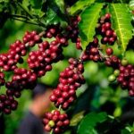 392e564ba6024f5c1613