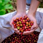 4030bcc74e8ea7d0fe9f