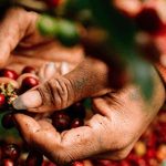 4ccc704983006a5e3311