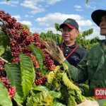 4fa4c92b3a62d33c8a73