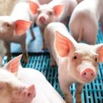 52c4134cfe05175b4e14