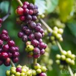 6b6b38edd6a43ffa66b5