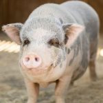 6c2d621a9853710d2842