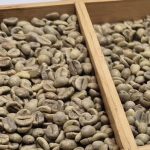 6c646be186a86ff636b9