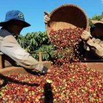 74bff543010ae854b11b