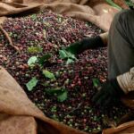 776b1e82abcb42951bda