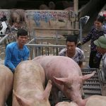 8a76e5f316baffe4a6ab