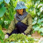 8aed6c7a8133686d3122