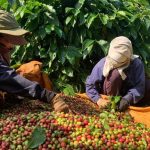 a8883438c5712c2f7560