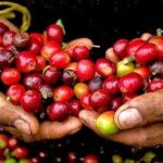 c32fe25e1017f949a006