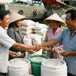 d89387b87df194afcde0