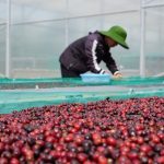 e9bc1cbce6f50fab56e4