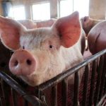 eb49aa44580db153e81c